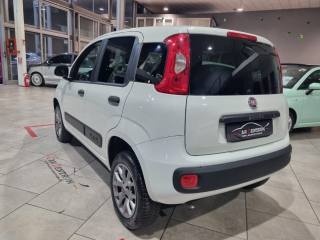 FIAT Panda usata, con Airbag Passeggero