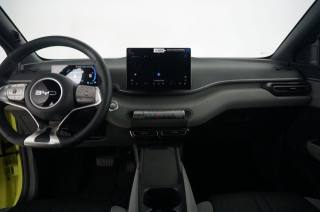 BYD Dolphin Surf usata, con Cruise Control
