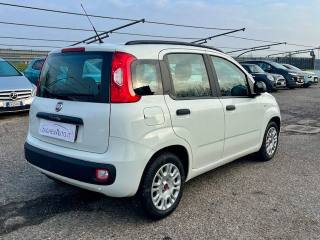 FIAT Panda usata, con Alzacristalli elettrici