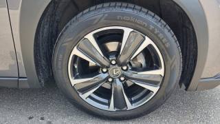 LEXUS UX 250h usata, con Autoradio