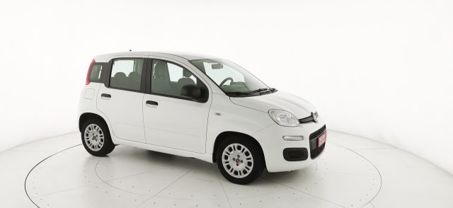 FIAT Panda usata 21