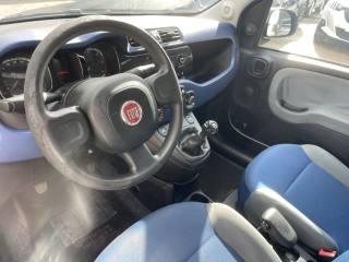 FIAT Panda usata 8