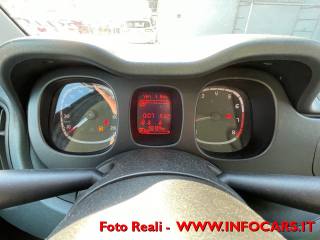 FIAT Panda usata 21