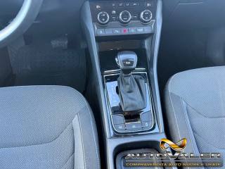 SKODA Kodiaq usata, con Vetri oscurati