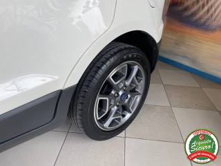 FORD EcoSport usata, con Airbag testa