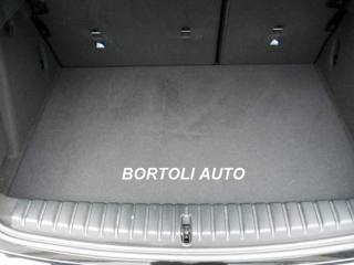 BMW 116 usata, con Controllo automatico clima