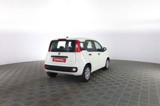 FIAT Panda usata 3