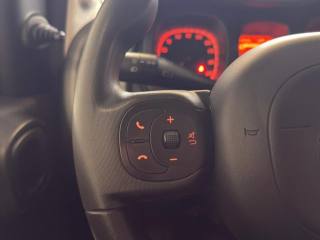 FIAT Panda usata 15