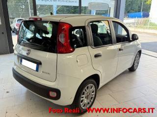 FIAT Panda usata, con Alzacristalli elettrici