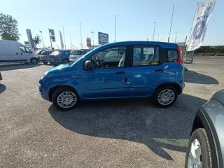 FIAT Panda usata, con Antifurto