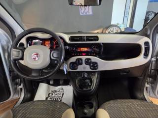 FIAT Panda usata 12