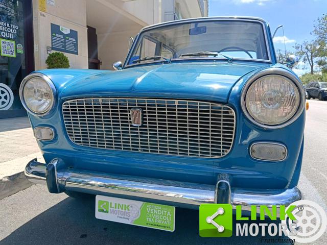 FIAT 1100 usata 8