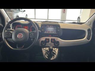 FIAT Panda Cross usata, con Fendinebbia