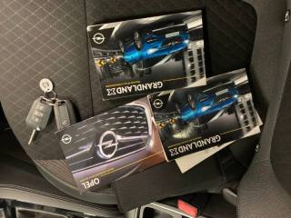 OPEL Grandland X usata, con Bracciolo