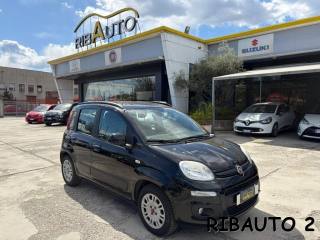 FIAT Panda usata, con Fendinebbia