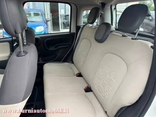 FIAT Panda usata, con Controllo trazione