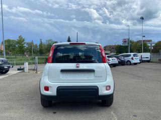 FIAT Panda usata, con Antifurto