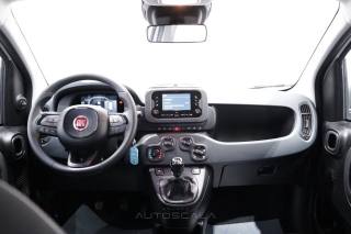 FIAT New Panda usata 19