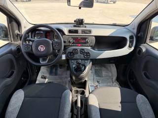 FIAT Panda usata 20
