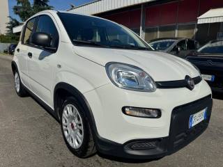 FIAT Panda usata, con Airbag Passeggero