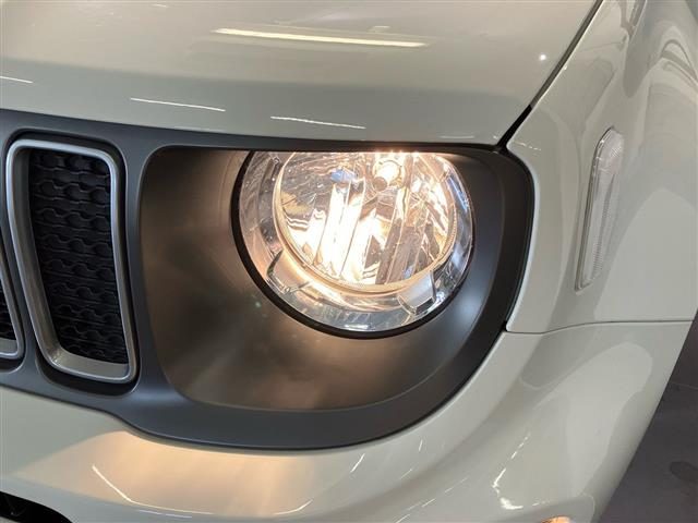 JEEP Renegade usata, con Cruise Control