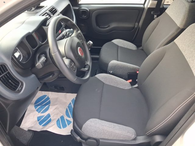 FIAT Panda usata 12