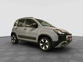 FIAT Panda usata 6