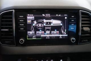 SKODA Karoq usata, con Sistema di riconoscimento della stanchezza