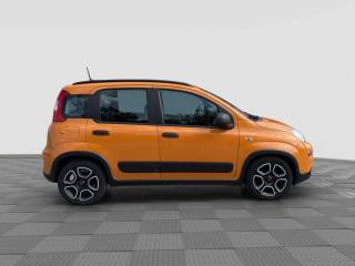 FIAT Panda usata 5