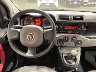 FIAT Panda usata 12