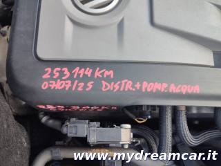 VOLKSWAGEN Touran usata 19