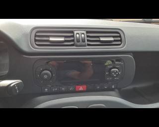 FIAT New Panda usata, con ESP