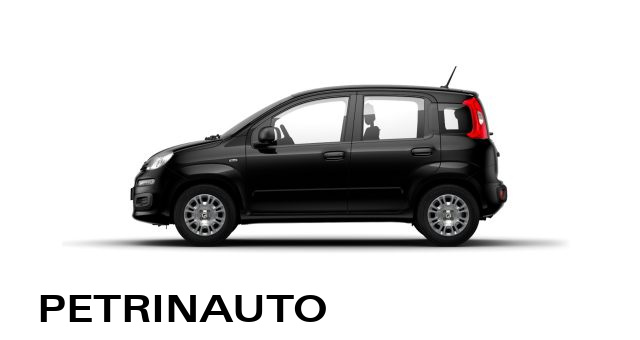 FIAT Panda usata, con Airbag Passeggero