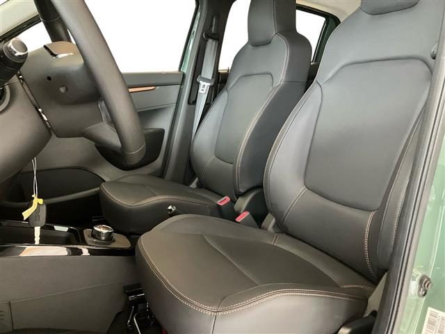 DACIA Spring usata 9
