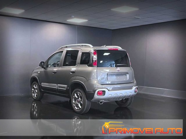 FIAT Panda Cross usata, con Fendinebbia