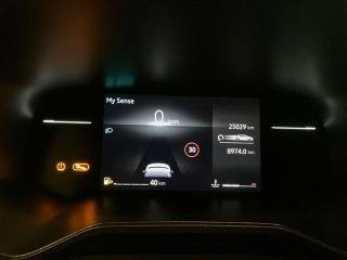 RENAULT Clio usata 14