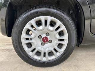 FIAT Panda usata 40