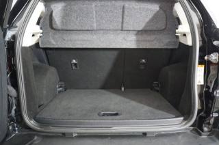 FORD EcoSport usata, con Fendinebbia