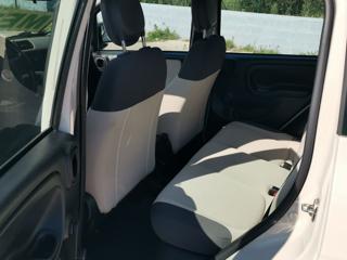 FIAT Panda usata, con Cronologia tagliandi