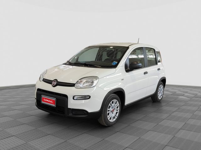FIAT Panda usata 0