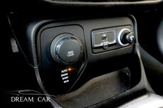 JEEP Renegade usata, con ESP