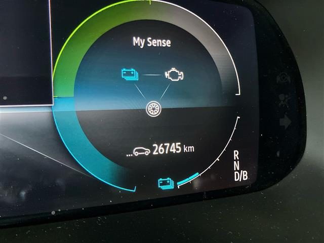 RENAULT Arkana usata, con Touch screen