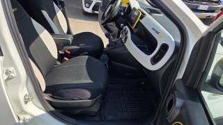 FIAT Panda usata, con Fendinebbia