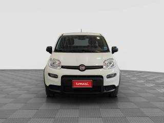 FIAT Panda usata 7