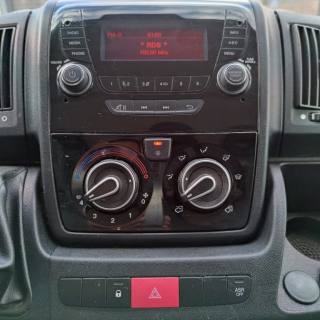 FIAT  usata 11