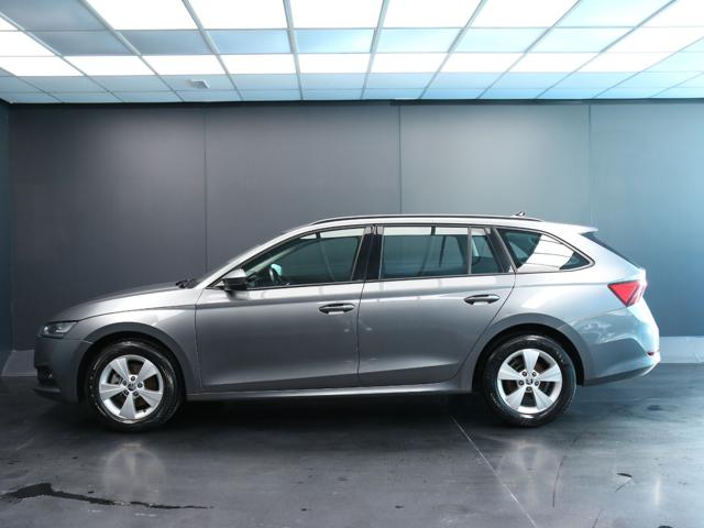 SKODA Octavia usata, con Fendinebbia