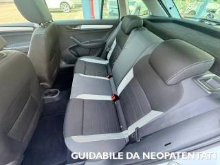 SKODA Rapid usata, con Fendinebbia
