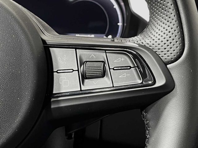 ALFA ROMEO Giulia usata, con Frenata d