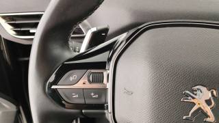 PEUGEOT 3008 usata 54