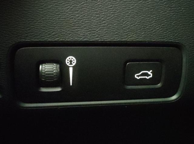 VOLVO XC40 usata, con Climatizzatore